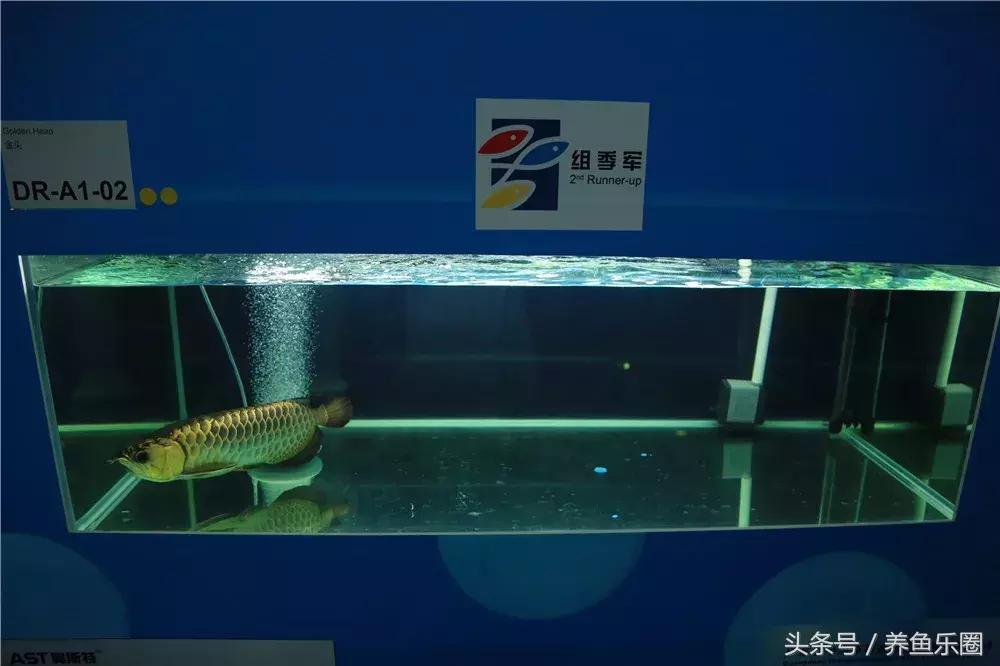 第169页